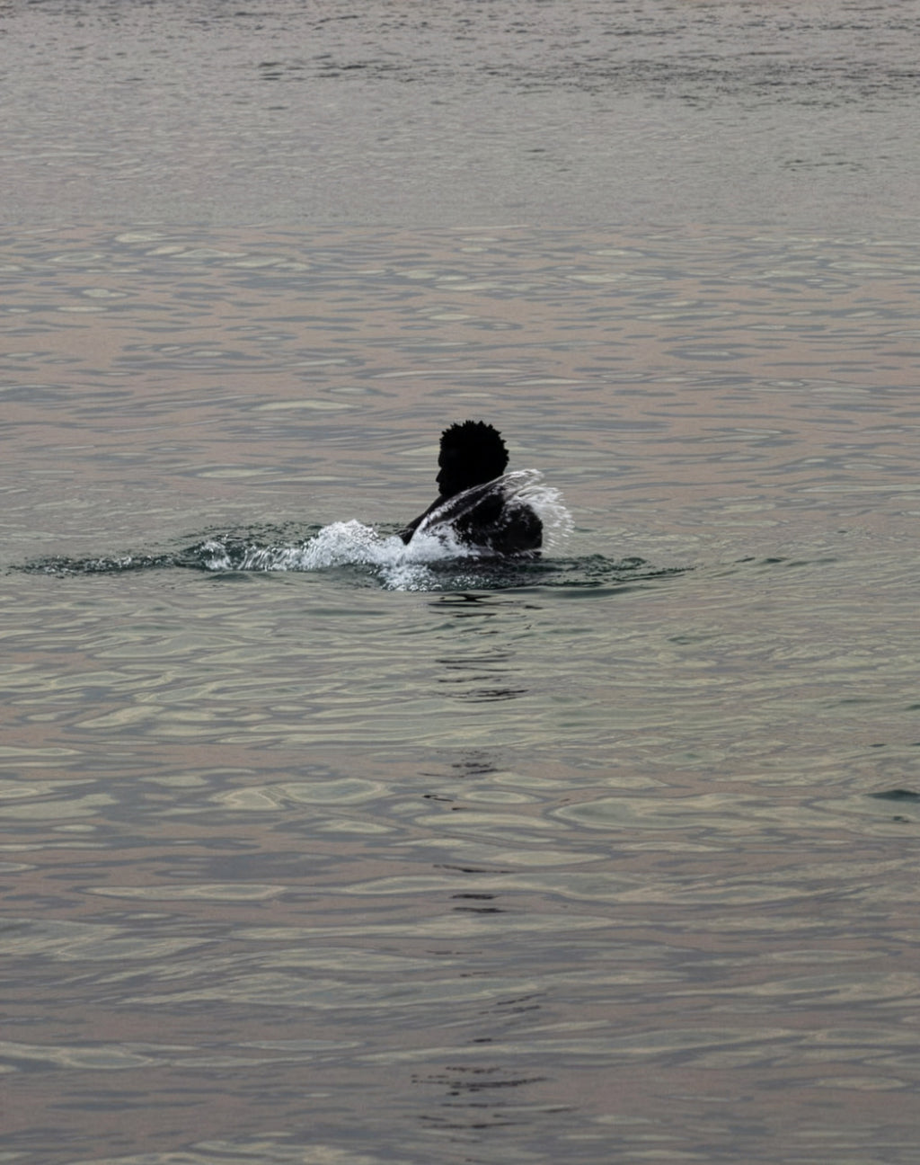 Bain Salé