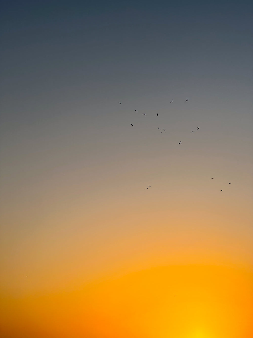Divine Gradient