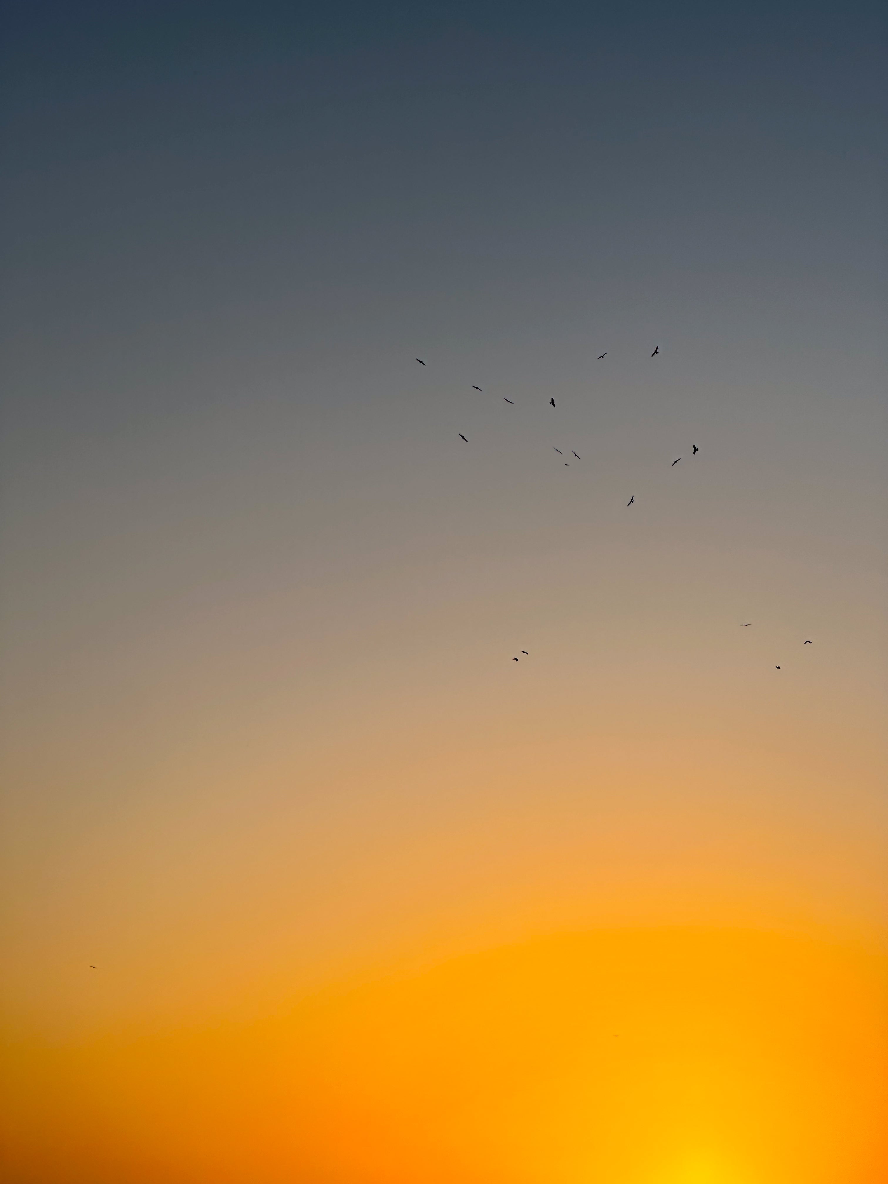 Divine Gradient