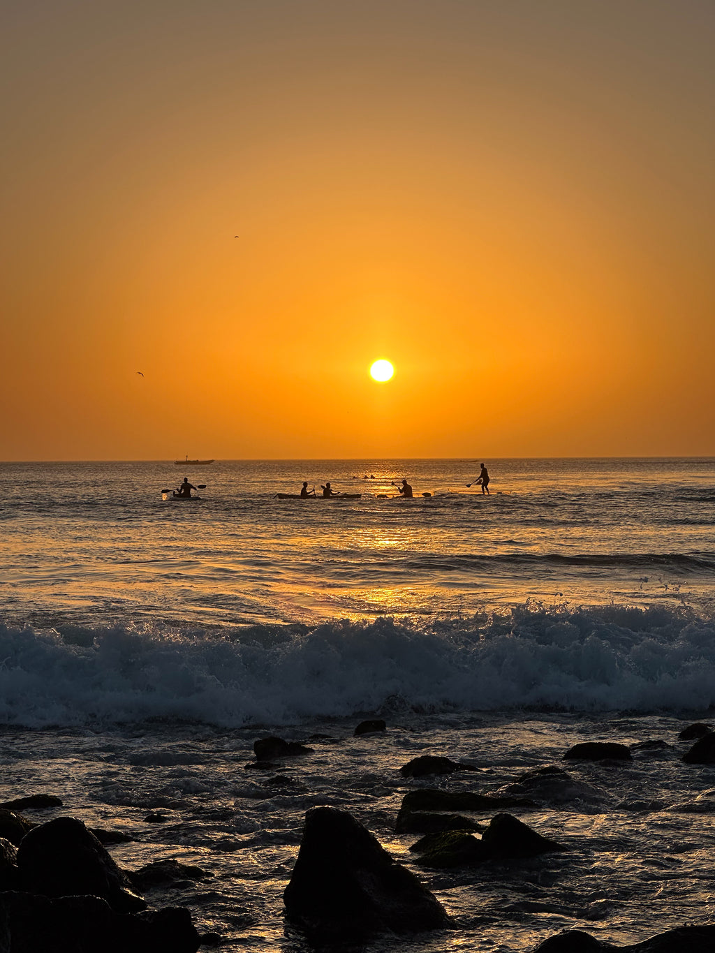 Surfy