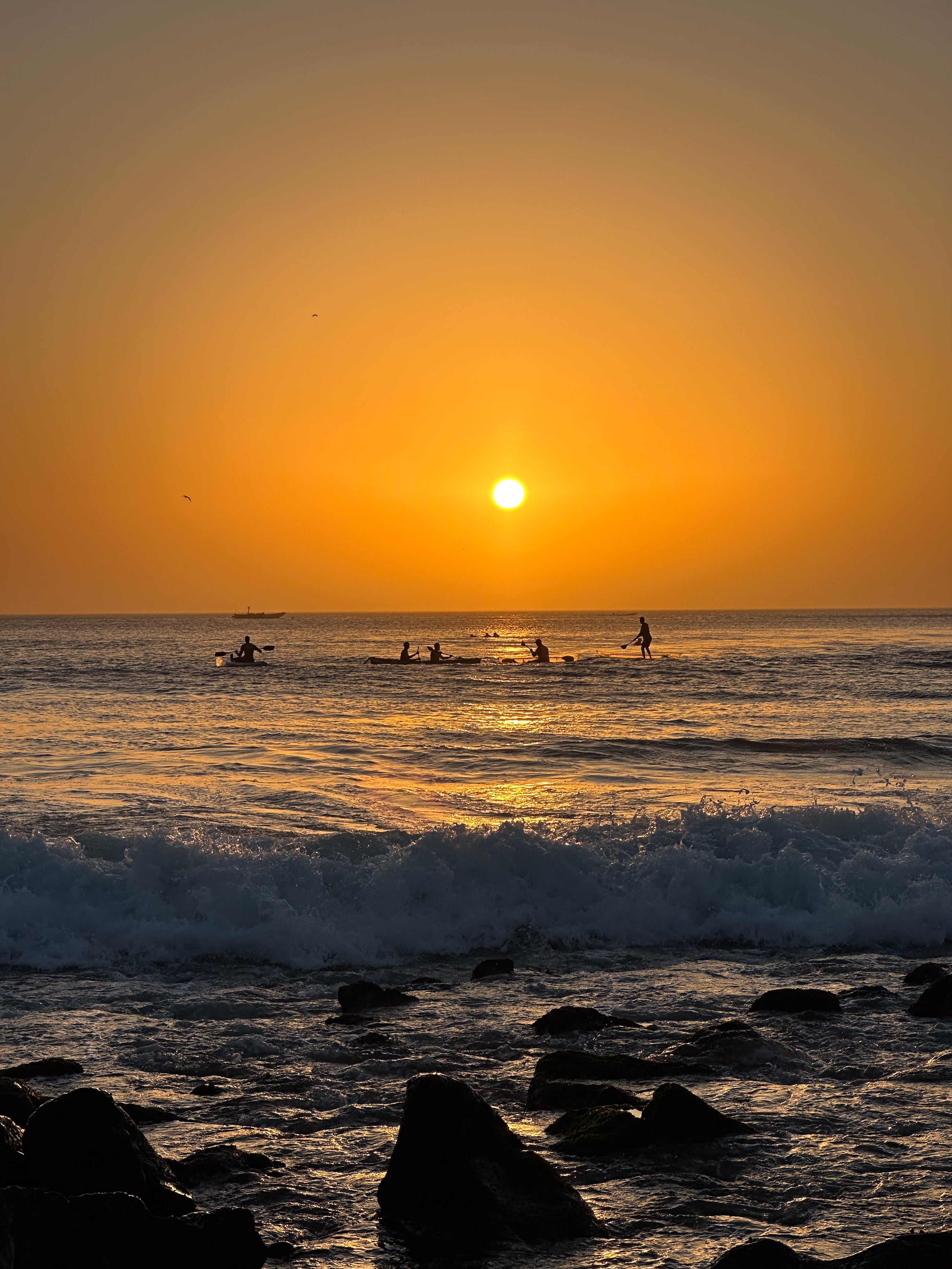 Surfy